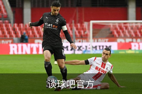 谈球吧官方简介